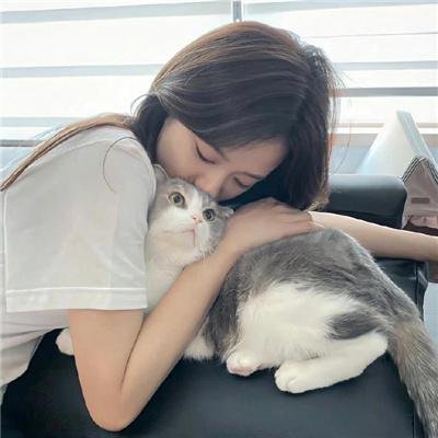 疯狂的蠢贼